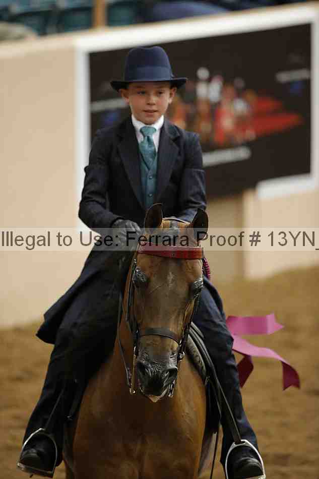 Proof 13yn_07331