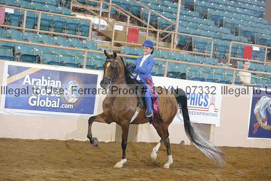 Proof 13yn_07332