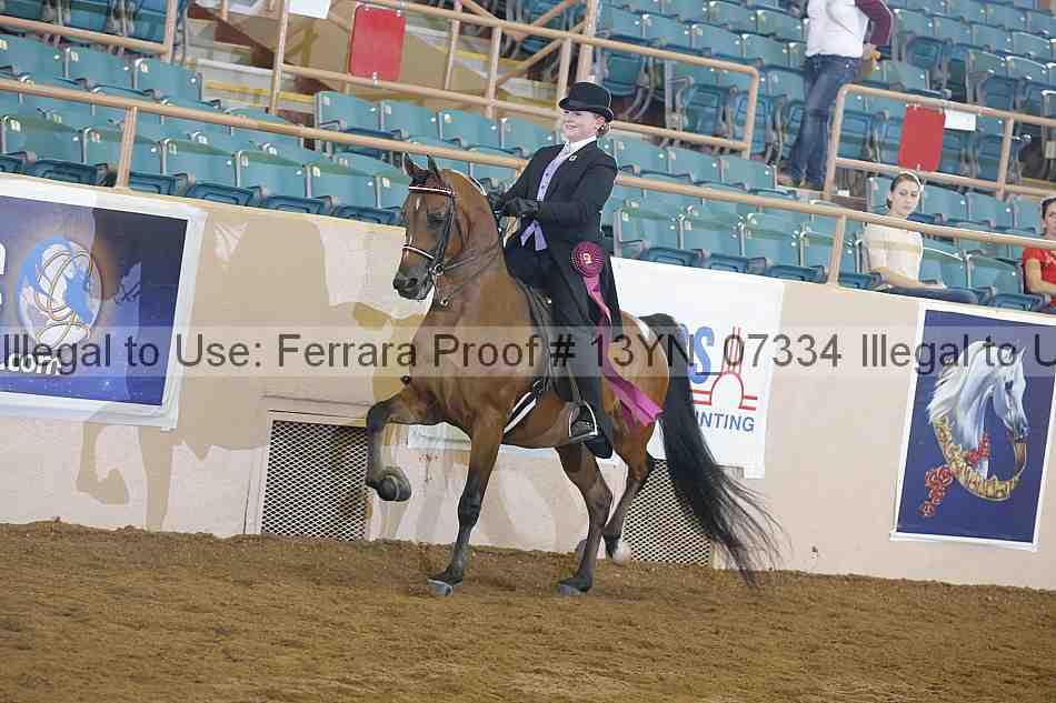 Proof 13yn_07334