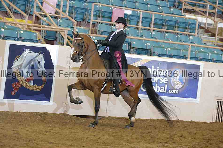 Proof 13yn_07336