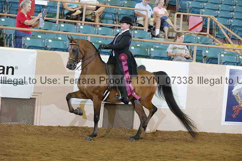 Proof 13yn_07338