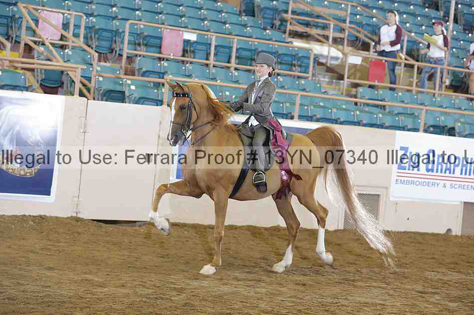 Proof 13yn_07340
