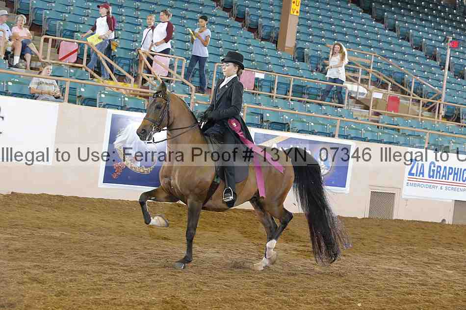 Proof 13yn_07346