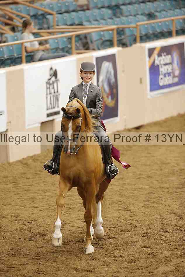 Proof 13yn_07347