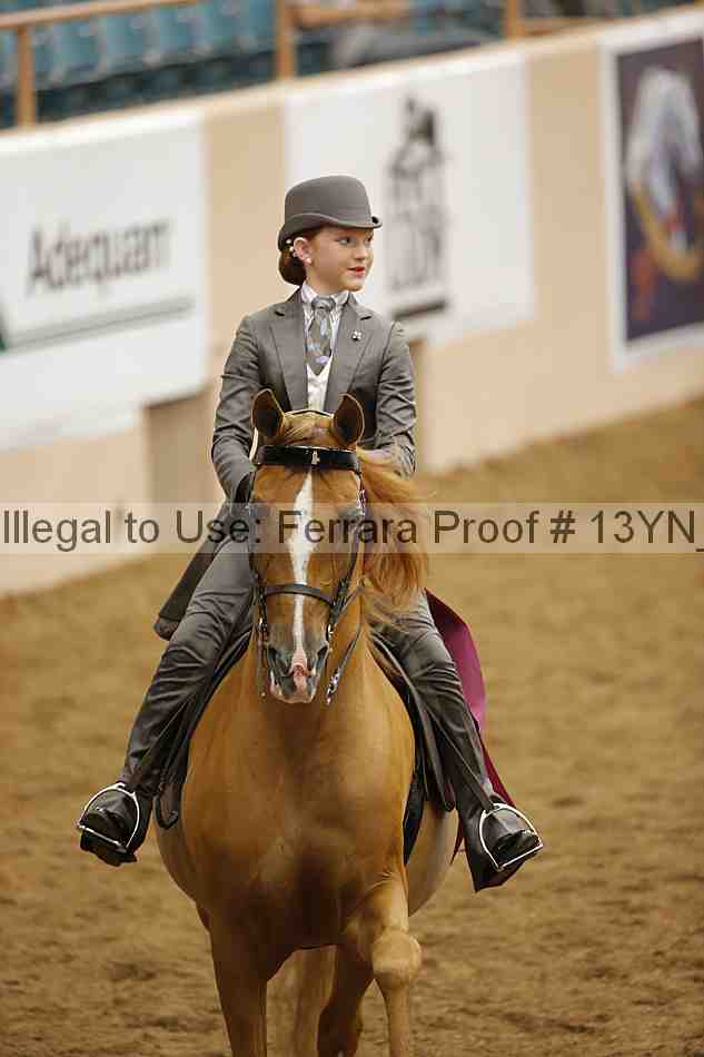 Proof 13yn_07348