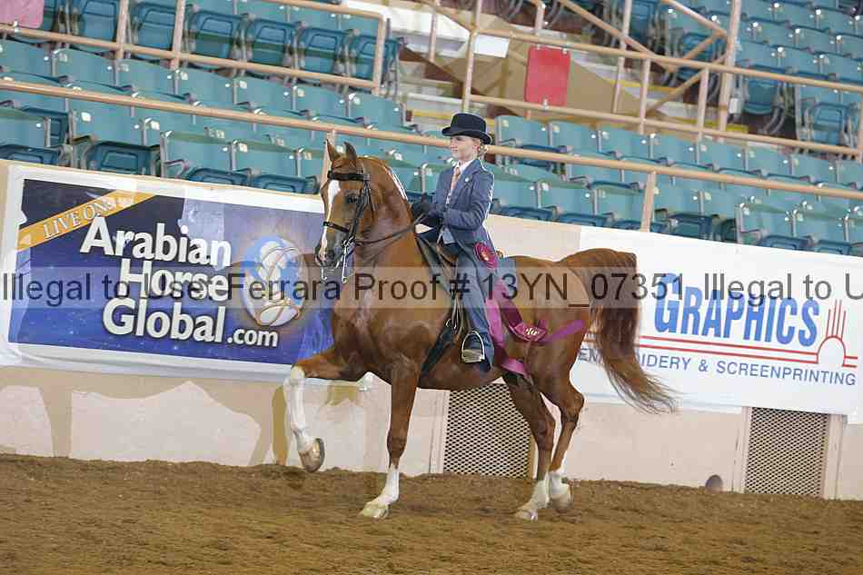 Proof 13yn_07351