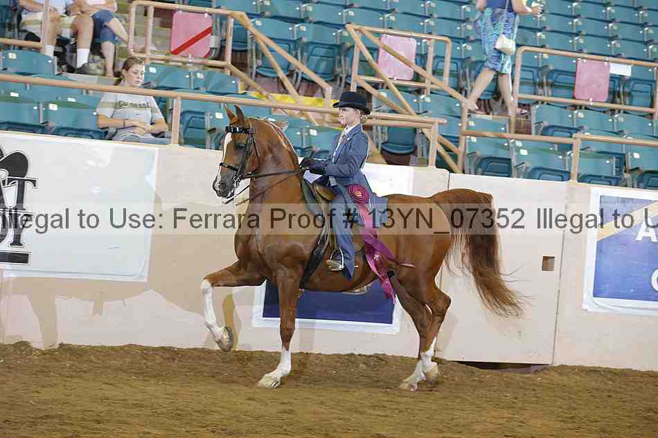 Proof 13yn_07352
