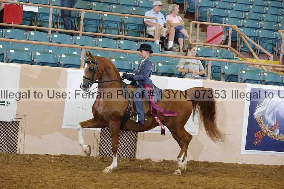 Proof 13yn_07353
