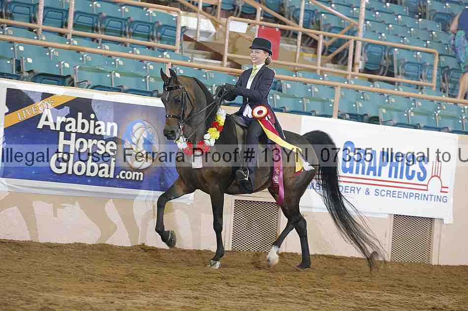 Proof 13yn_07355