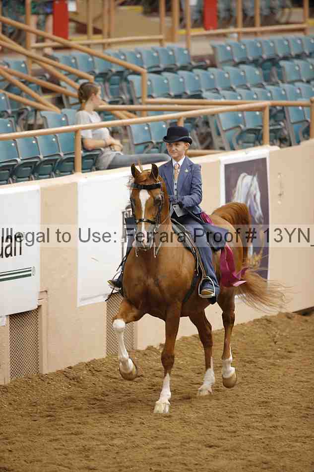 Proof 13yn_07357