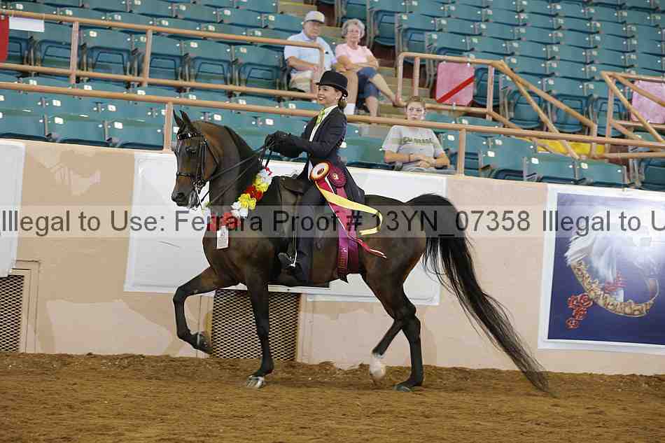 Proof 13yn_07358