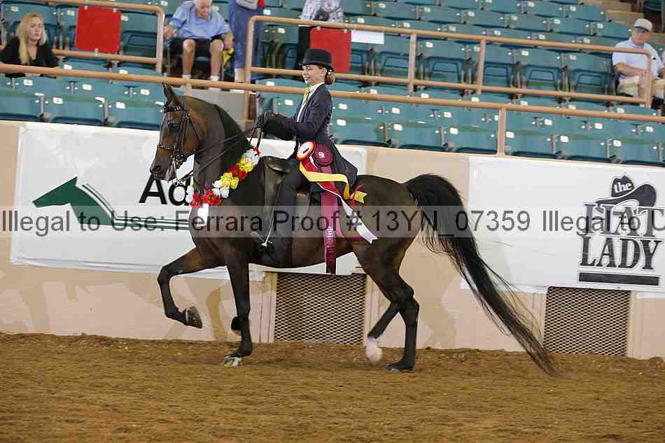 Proof 13yn_07359