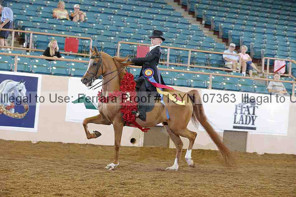 Proof 13yn_07363