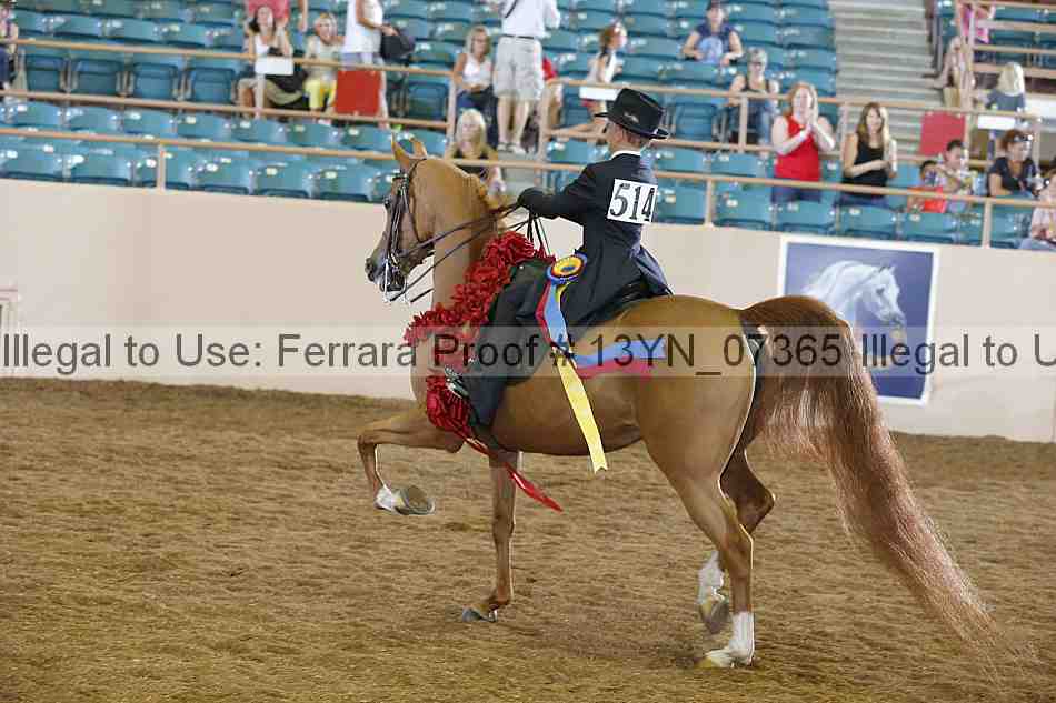 Proof 13yn_07365