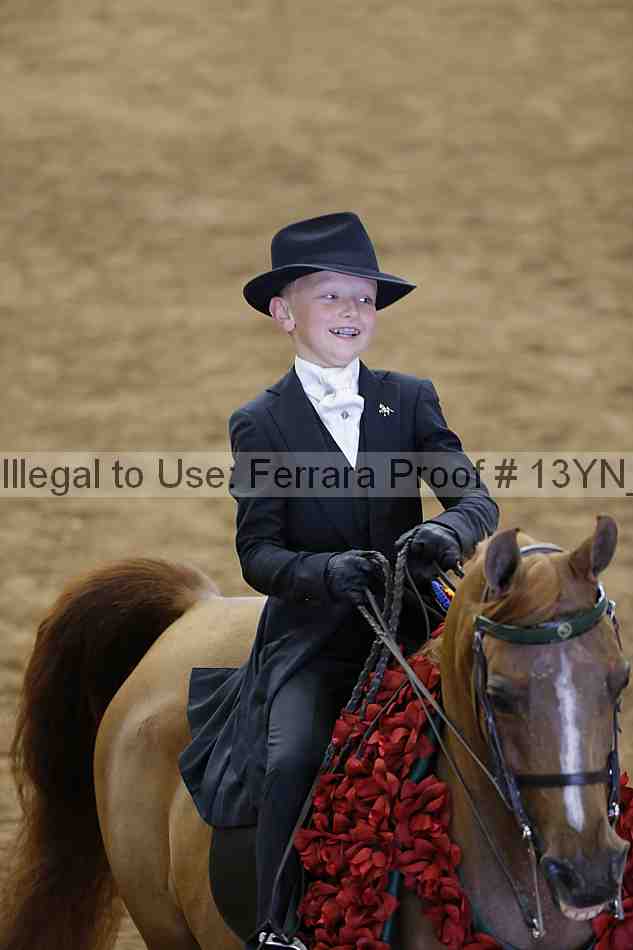 Proof 13yn_07369