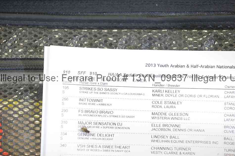 Proof 13yn_09637