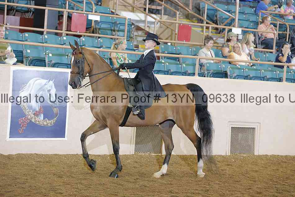 Proof 13yn_09638