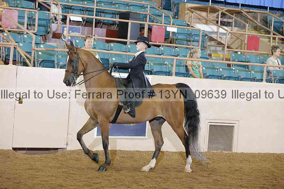 Proof 13yn_09639
