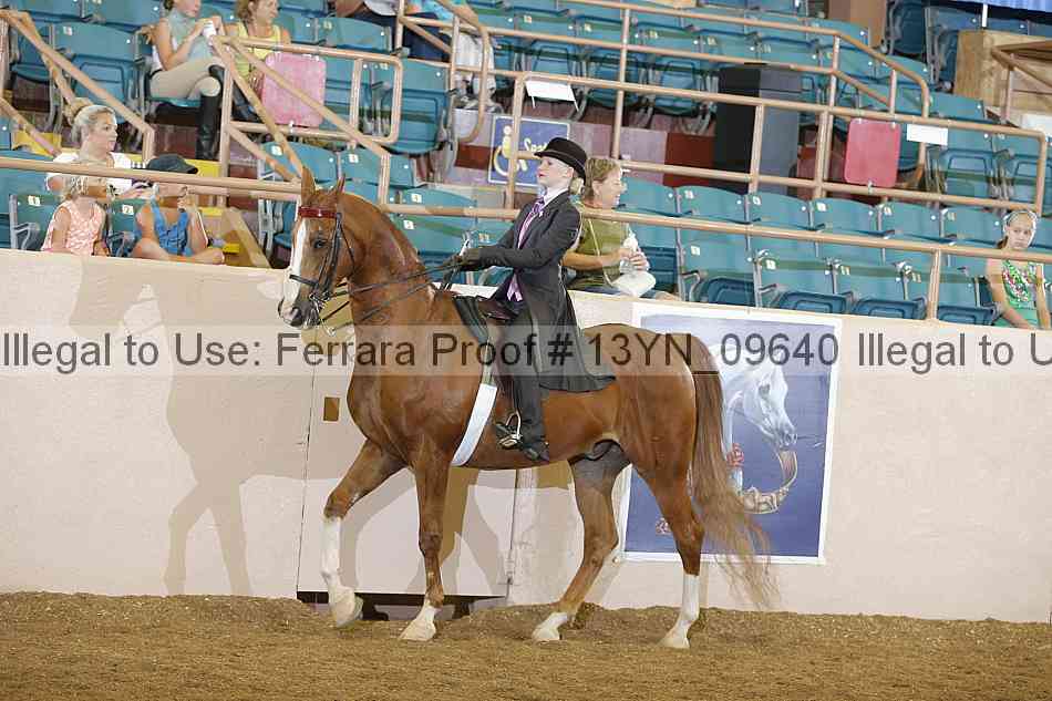 Proof 13yn_09640