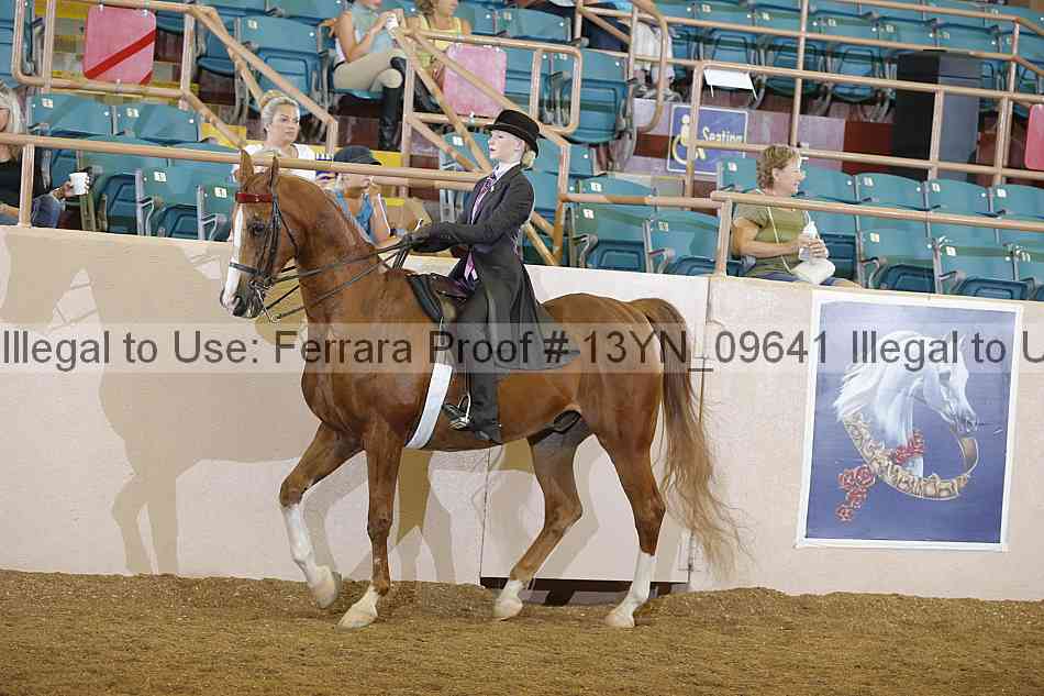 Proof 13yn_09641