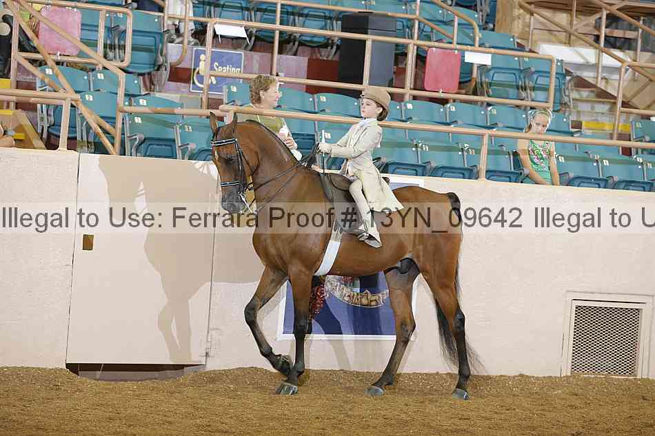Proof 13yn_09642