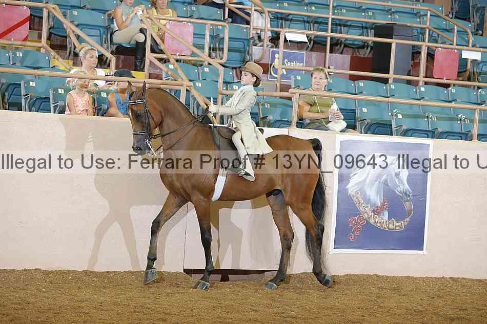 Proof 13yn_09643