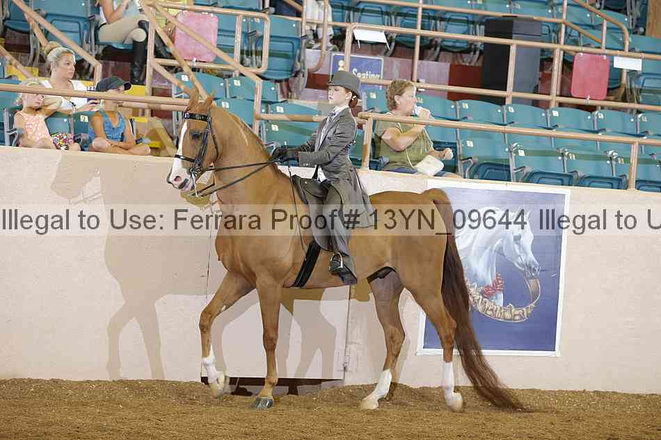 Proof 13yn_09644