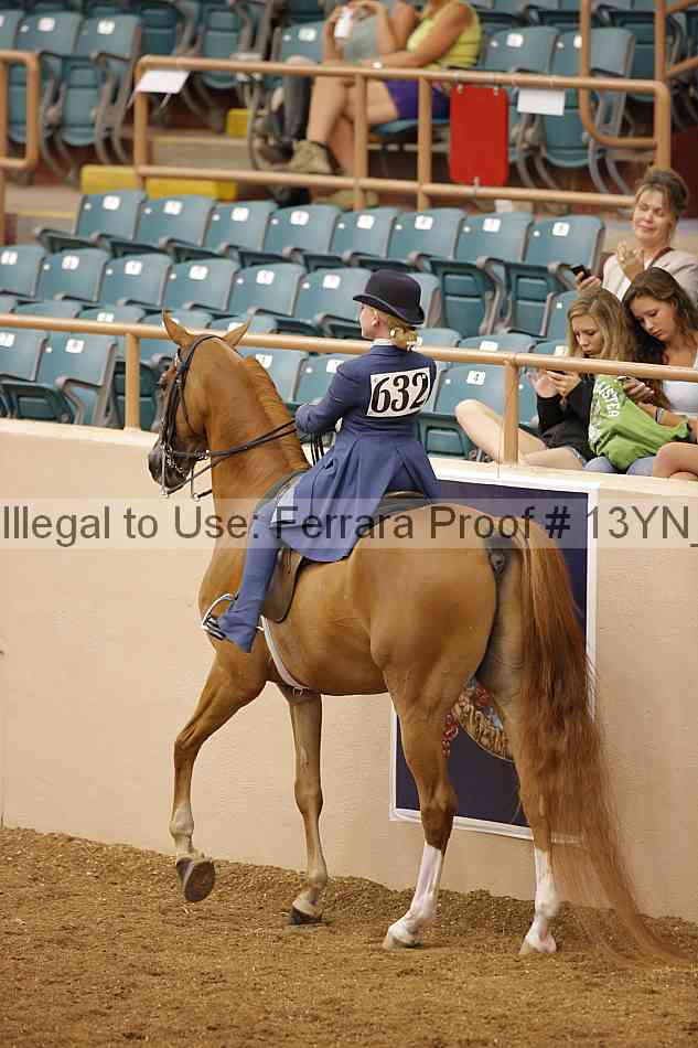 Proof 13yn_09645