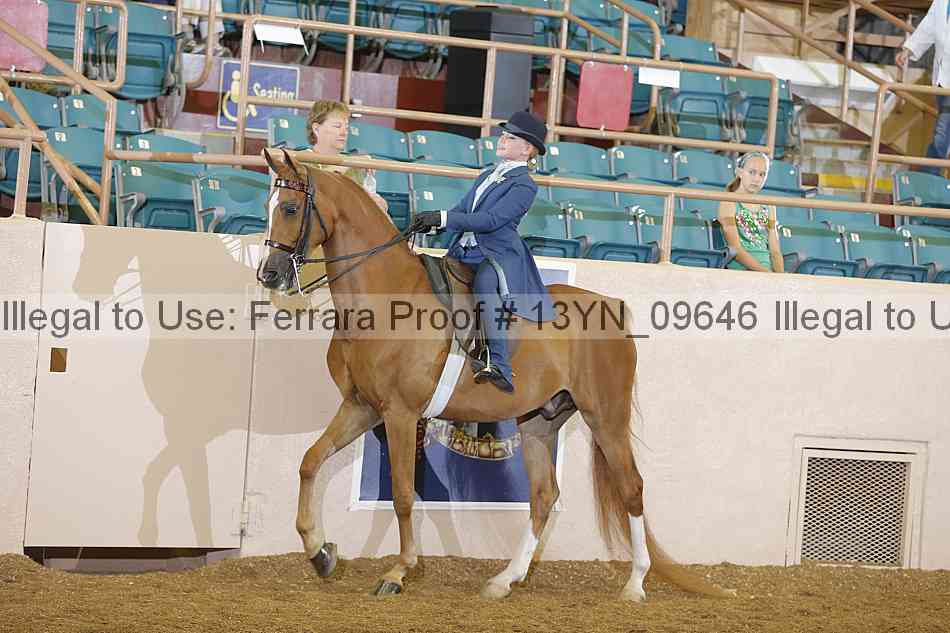 Proof 13yn_09646