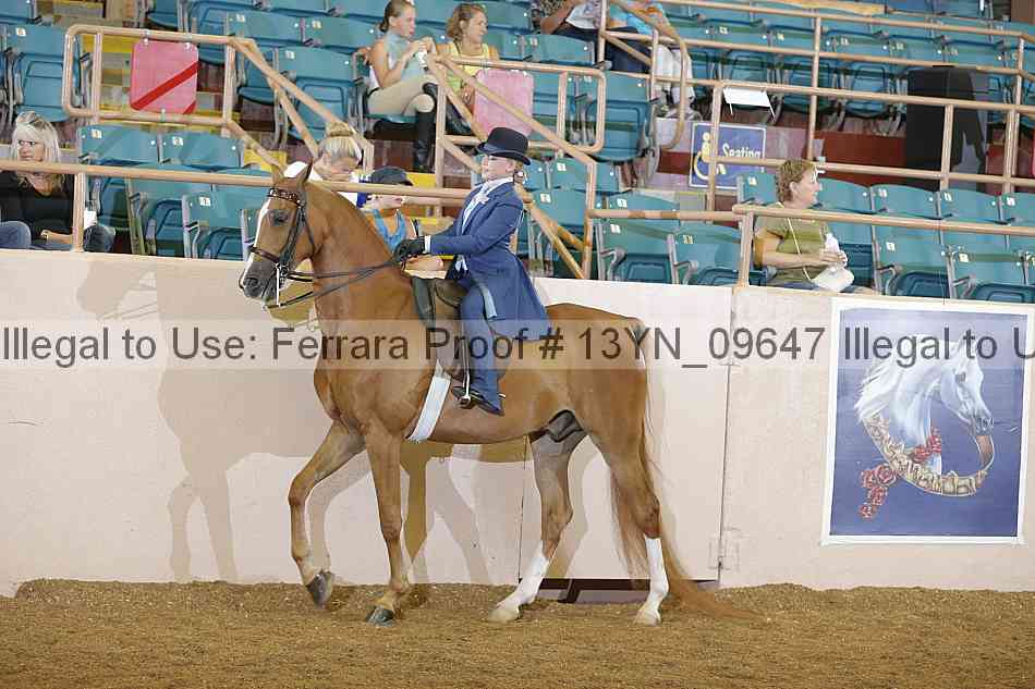 Proof 13yn_09647