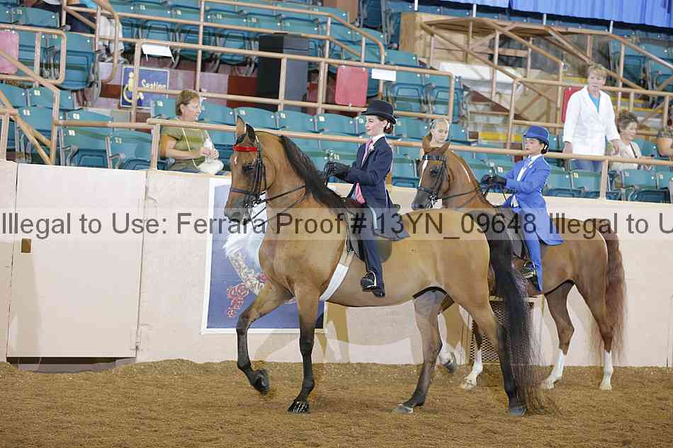 Proof 13yn_09648