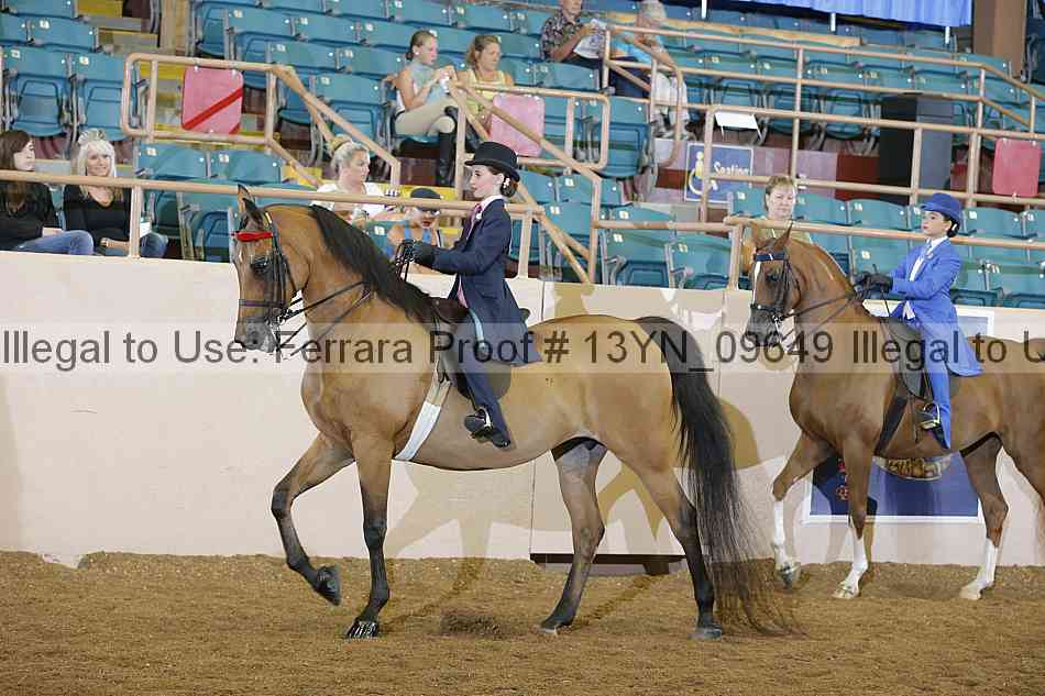 Proof 13yn_09649