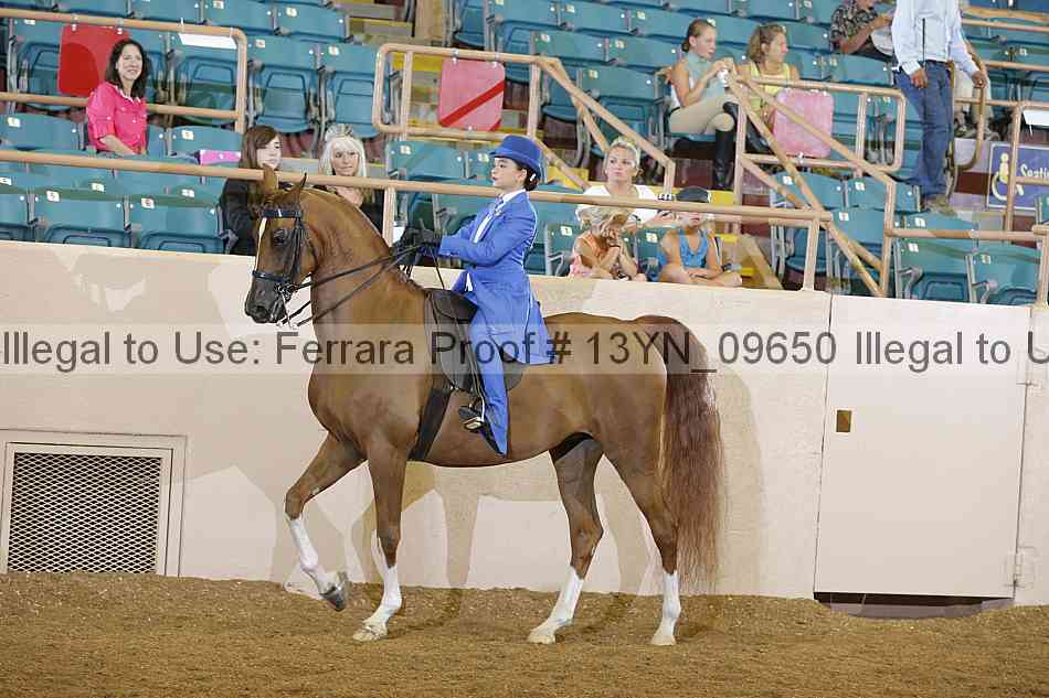 Proof 13yn_09650