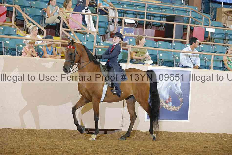 Proof 13yn_09651