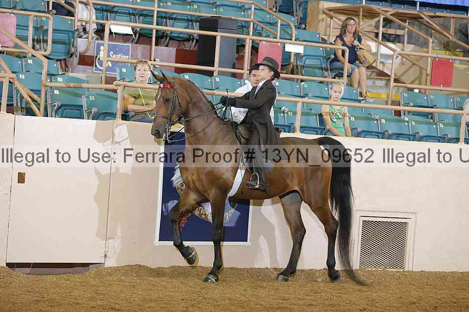 Proof 13yn_09652