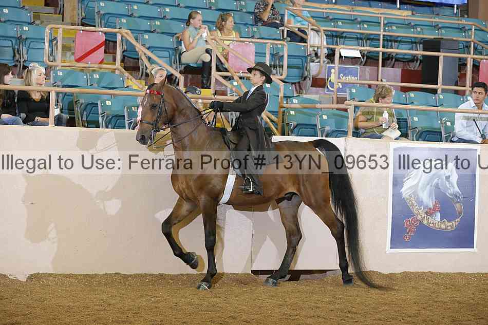 Proof 13yn_09653