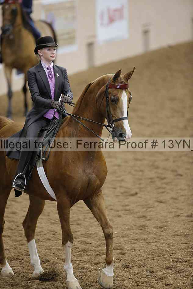 Proof 13yn_09654