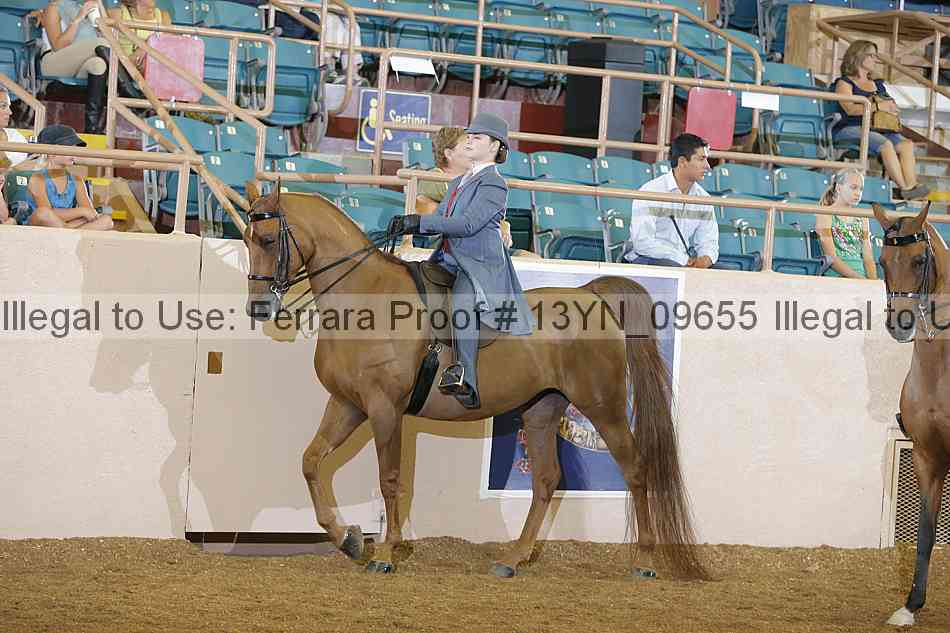 Proof 13yn_09655
