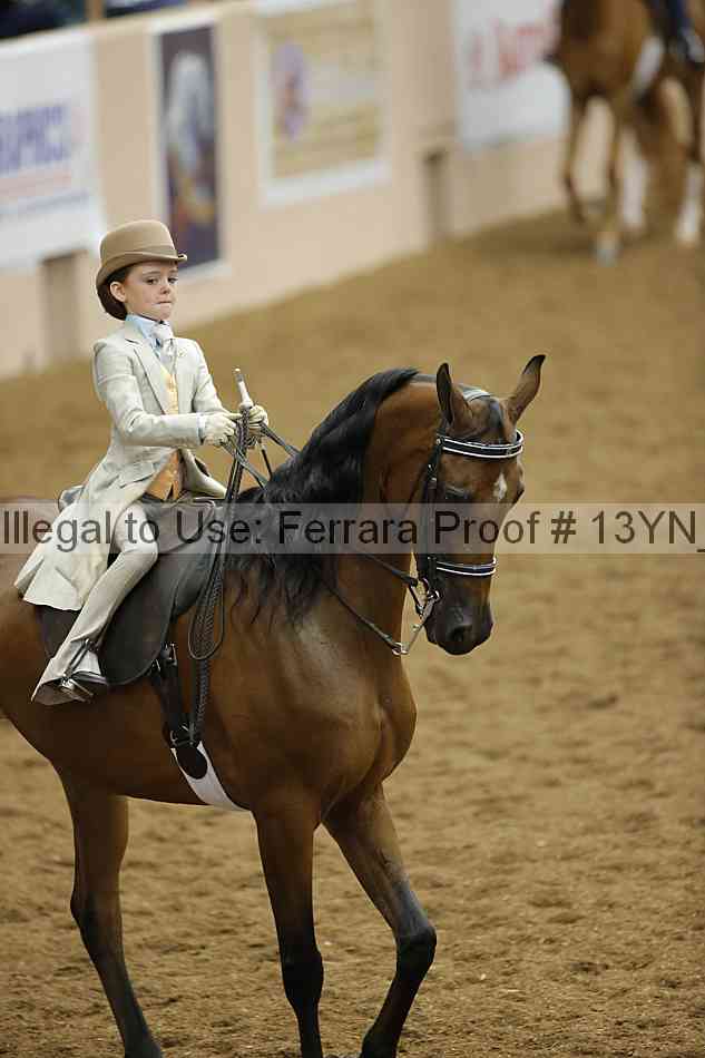 Proof 13yn_09656