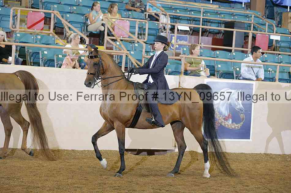 Proof 13yn_09657
