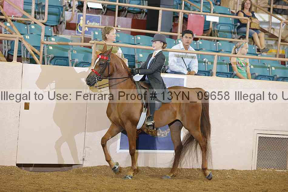 Proof 13yn_09658