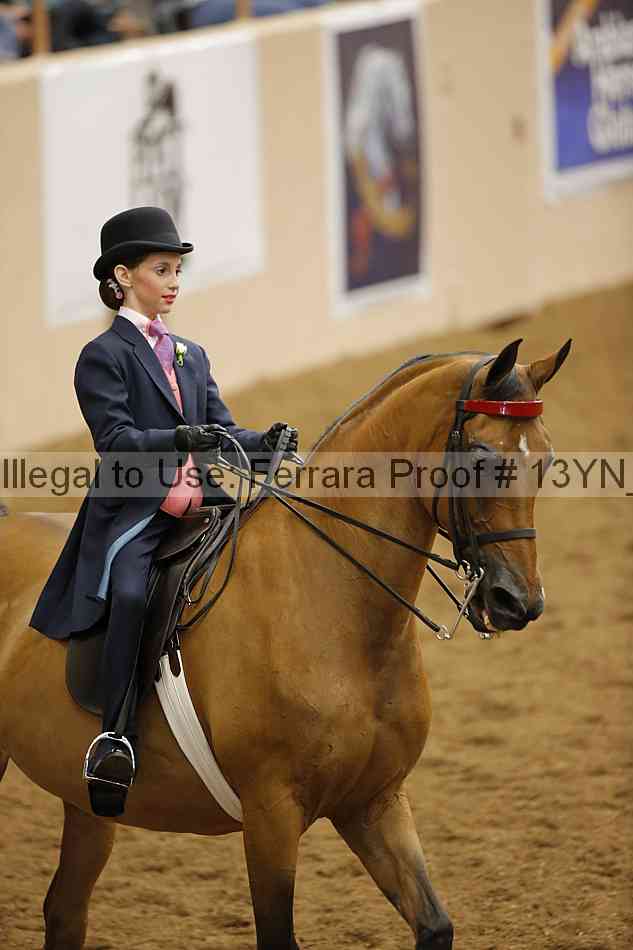 Proof 13yn_09659