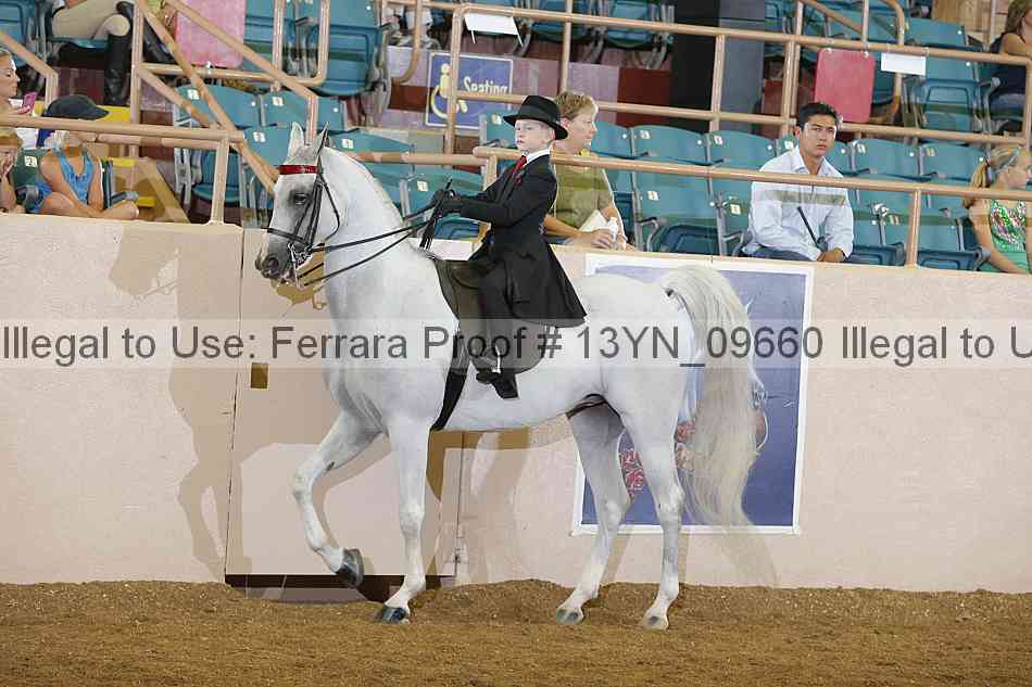 Proof 13yn_09660
