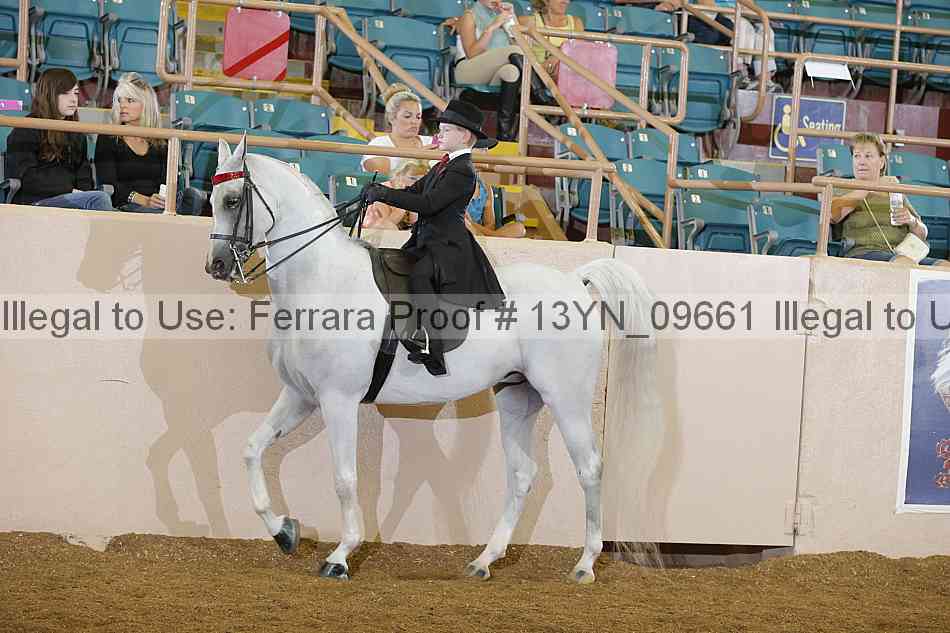 Proof 13yn_09661