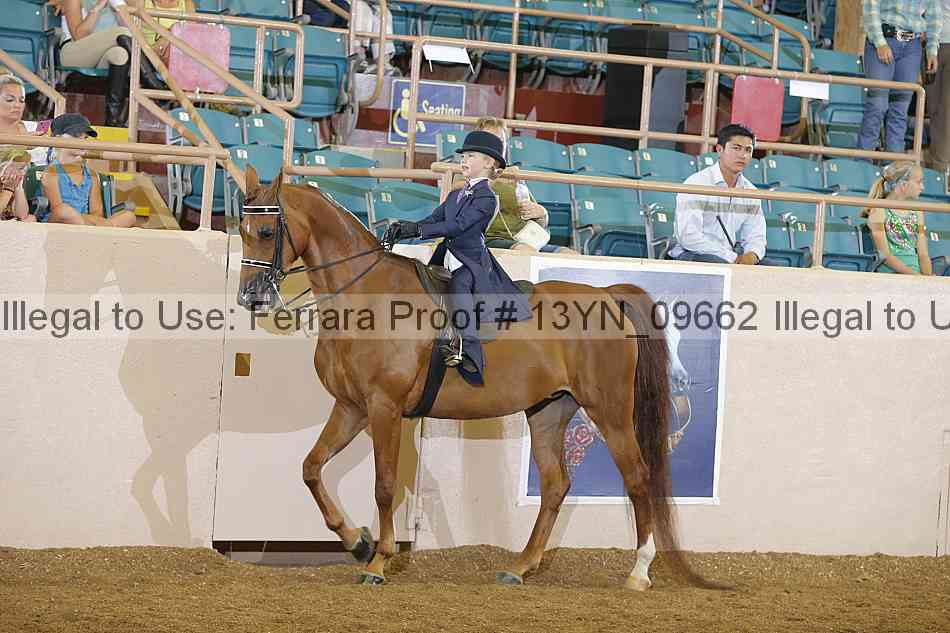 Proof 13yn_09662