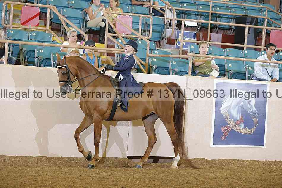 Proof 13yn_09663