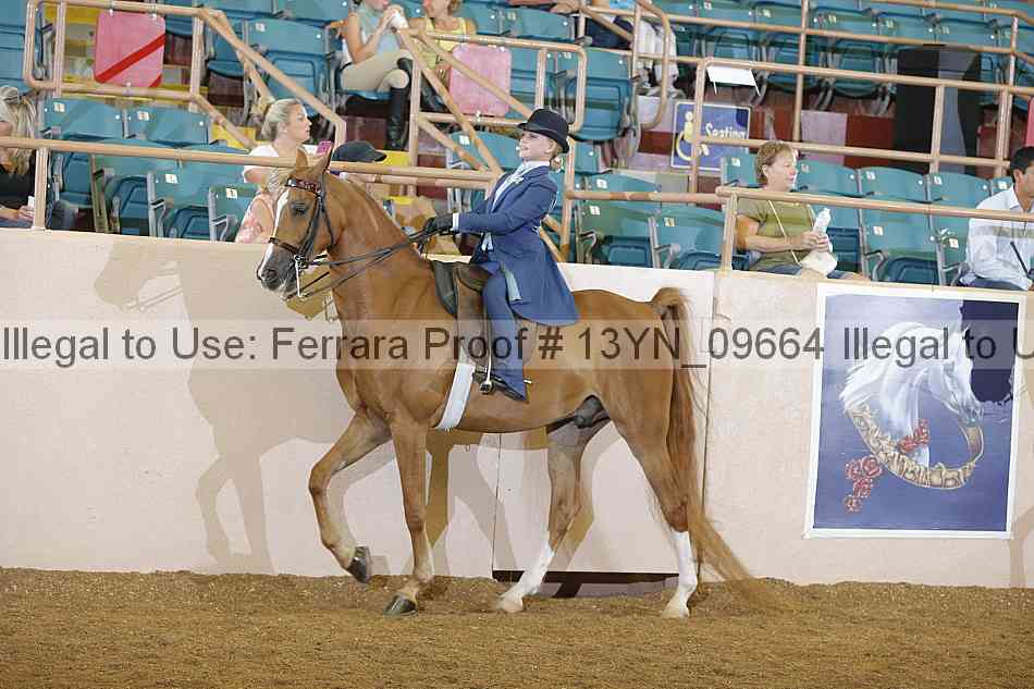 Proof 13yn_09664