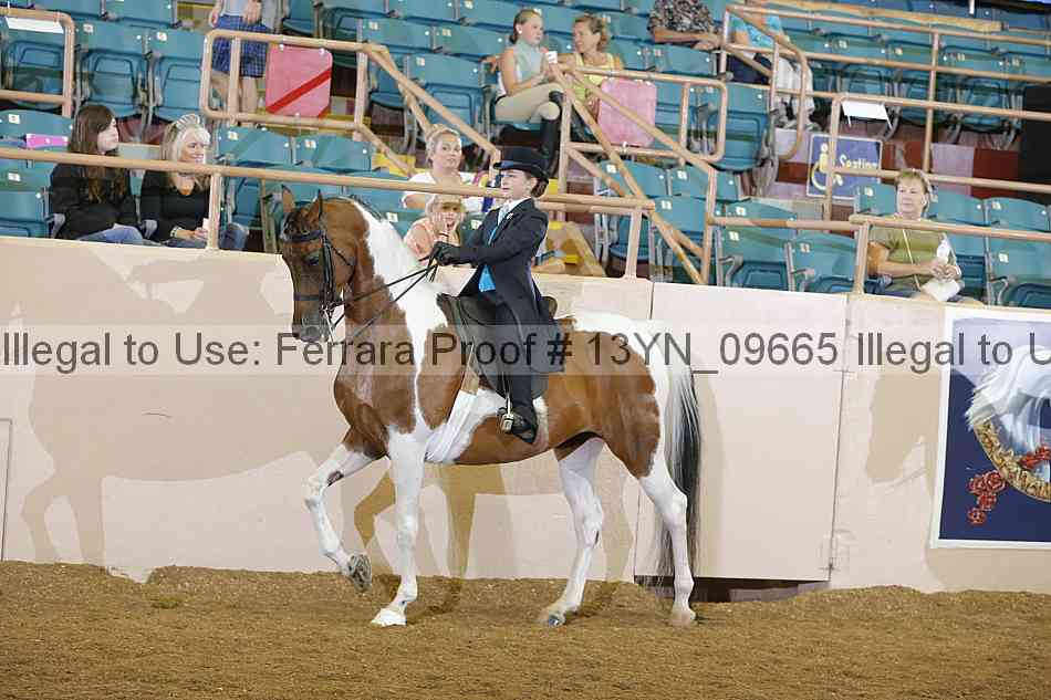 Proof 13yn_09665