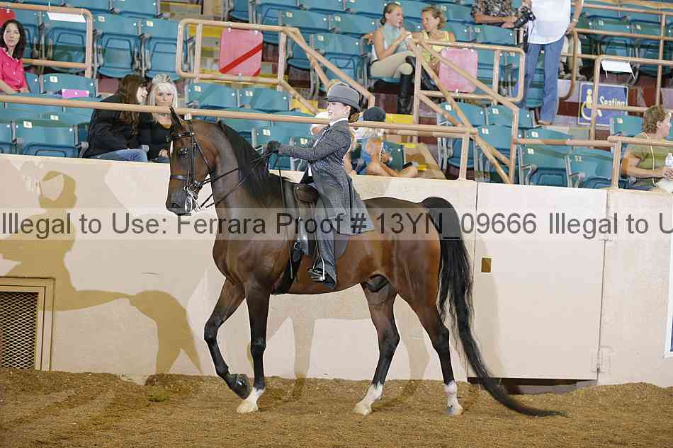 Proof 13yn_09666