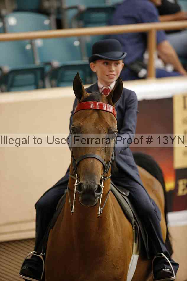Proof 13yn_09670